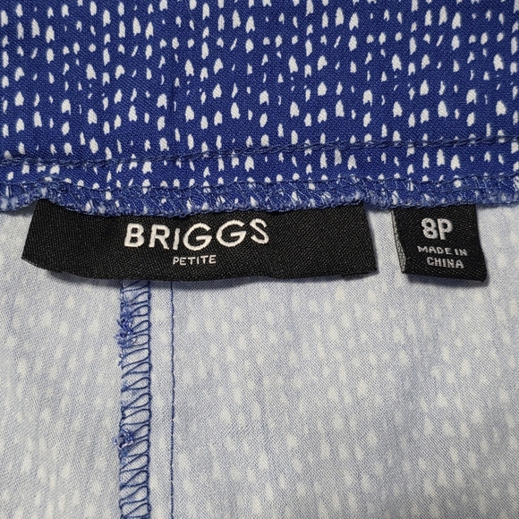 Briggs Petite Size 8 Blue And White Patterned Shorts - Picture 4 of 6